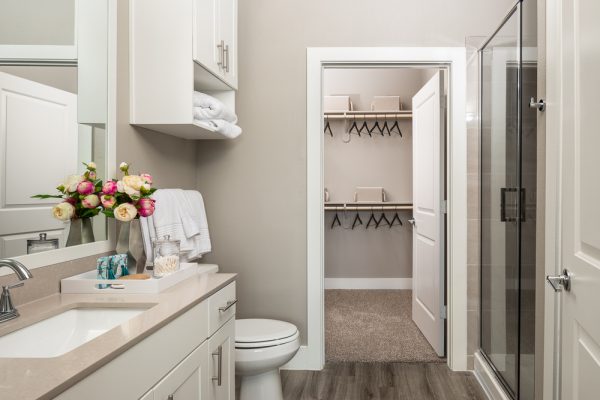 Double vanity sink with quartz countertop, under sink storage, a large mirror, shower, toilet, and spacious, walk-in closet